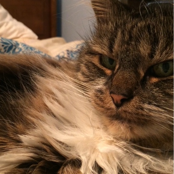 Profile Picture of Justyna Baldyga (@juicestyna) on Poshmark