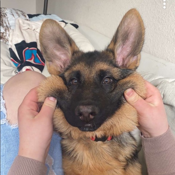 Profile Picture of Naomi Hansen (@naomi_hansen20) on Poshmark