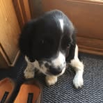 Profile Picture of Ian Danskin (@ian.danskin.3) on Facebook