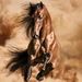Profile Picture of julianna liles8 (@juliannaliles8) on Pinterest