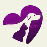 Profile Photo of ADOPCIONES VILLA MERCEDES - SAN LUIS (@adopcionesvillamercedes) on Instagram