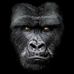 Profile Picture of Birt Adams (@birt.adams.3) on Facebook