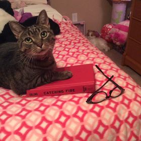 Profile Picture of Julia (@campionjulia) on Pinterest