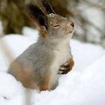 Profile Picture of Kathryn Anne Schelter (@kathrynanneschelter) on Instagram