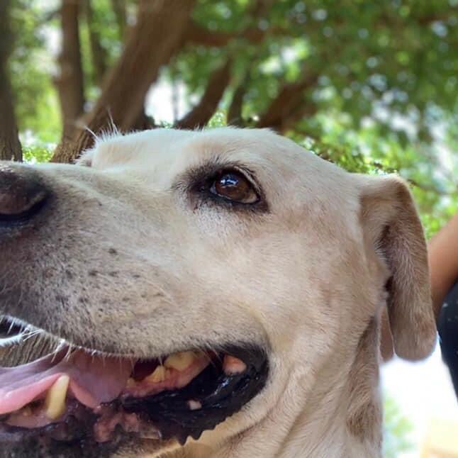 Profile Picture of Carol Blakes (@carolblakes_6292) on Tiktok