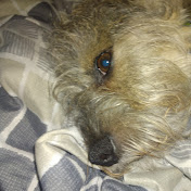 Profile Picture of Michael Hickman (@michaelhickman1551) on Youtube