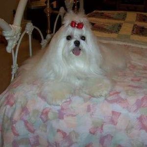 Profile Picture of Pat Parsons (@tristarene) on Myspace
