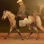Profile Picture of Mark Holifield (@mark.holifield.3) on Instagram