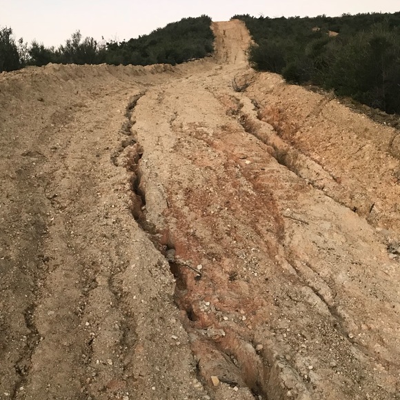 Profile Picture of Alvaro Zavala (@alzavala) on Poshmark