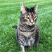 Profile Picture of Jodi Corsolini Eichelberger (@jodi.c.eichelberger) on Facebook