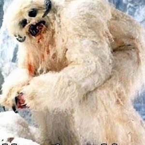 Profile Picture of Tim Girardot (@tdgirard) on Myspace