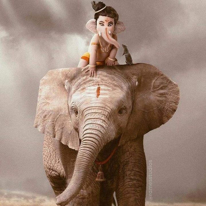 Profile Picture of anshika (@anshika22512) on Tiktok