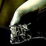 Profile Picture of John Holmes (@bigjohnholmes73) on Flickr