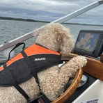 Jacob Remmer - Facebook Profile Picture of Jacob Remmer (@jacob.remmer.1) on Facebook