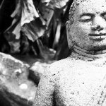 Profile Picture of Nathan Bunnell (@ko.taaaaa) on Instagram