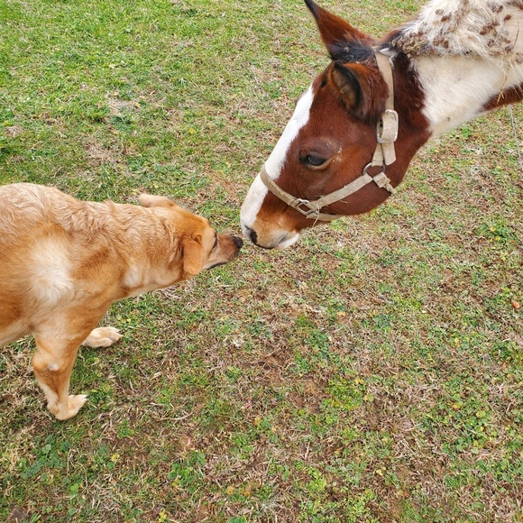 Profile Picture of George Duffy (@ged_37687) on Poshmark