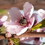 Profile Picture of Thomas bourbon leftly (@thomasbourbonleftly) on Instagram