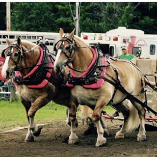 Profile Picture of Lillian Edney (@lillian.edney.98) on Facebook