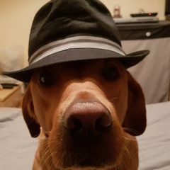 Profile Picture of Patrick Hoskin (@patrick.hoskin) on Tiktok
