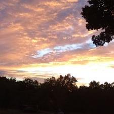 Profile Picture of Sandy Newton (@SandyNe80078148) on Twitter