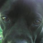 Profile Picture of Steven Murdoch (@steven.murdoch.54) on Instagram