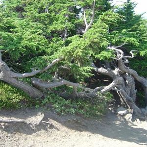 Profile Picture of Charles Chapman (@101102723) on Myspace