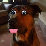 Profile Picture of Timothy M Stinson (@throttlejockey785) on Instagram