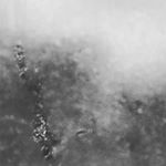 Profile Picture of matthew collie (@the_real_batman_bruce_wayn) on Instagram