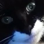 Profile Picture of sky stevenson (@sky.change.your.name.200) on Instagram