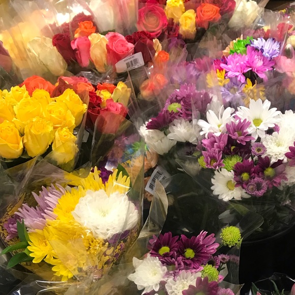 Profile Picture of Shelby Bentt (@shelbybentt) on Poshmark