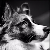 Profile Picture of Robert Grillo (@robertgrillo1087) on Youtube