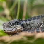 Profile Picture of Mauricio Quarles (@mauricioquarles) on Instagram