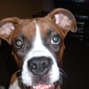 Profile Picture of Nancy Bello (@438459248) on Myspace