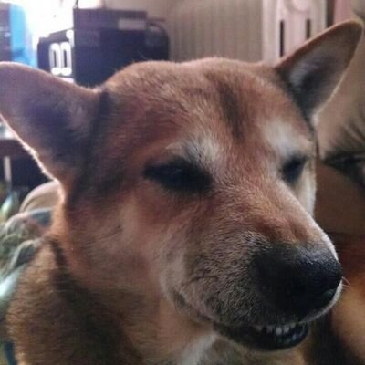 Profile Picture of Bryce Herb (@crazyness_1234) on Twitter