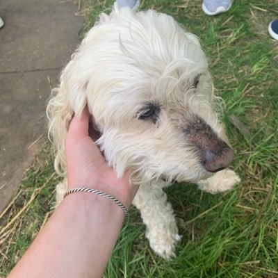 Profile Picture of Forrest Rogers (@forrestrogers7) on Twitter