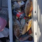 Profile Picture of John Caterer (@john.caterer.7) on Facebook