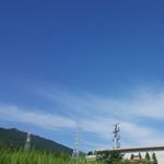 Profile Picture of 조진영 (@zorbabam) on Instagram