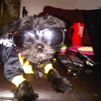 Profile Picture of Damian Long (@damian-long-9) on Quora