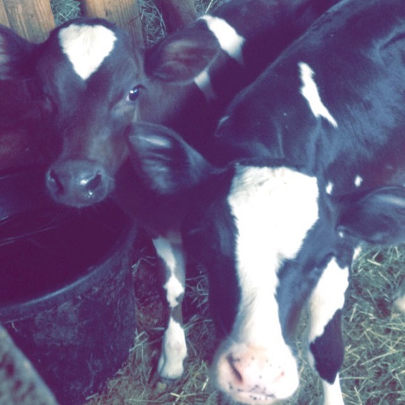 Profile Picture of Jaylee Shalata (@jshalata22) on Poshmark