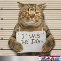 Profile Picture of Loretta Winters (@loretta-winters-1) on Quora