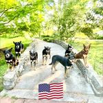 Profile Picture of Tamara Gavin Kasser (@arborhouse) on Instagram