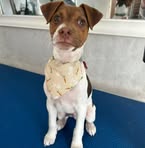 Profile Picture of Joel Haines (@Joel-Haines) on Facebook