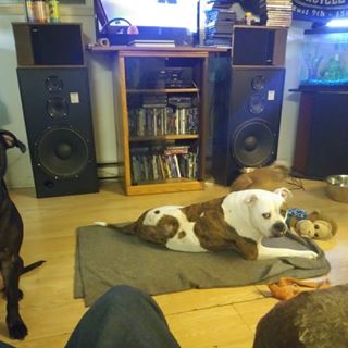 Profile Picture of Randy Baur (@randy.baur.5) on Facebook