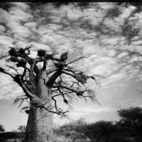 Profile Picture of David Bearden (@david-bearden-7) on Quora