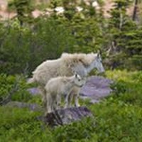 Profile Picture of Javier Saez De Adana (@javier-saez-de-adana) on Quora