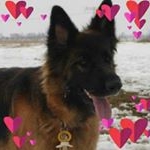 Profile Picture of André Köhler (@andre_koehler_69) on Instagram