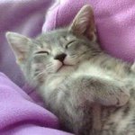 Profile Picture of Heather McElyea (@hmmcelyea) on Instagram