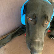 Profile Picture of Sage Johnson (@sagejohnson9716) on Youtube