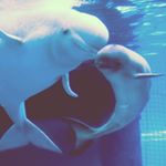 Profile Picture of Collin Andrews (@collllinandrews) on Instagram