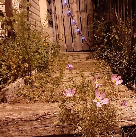 Profile Picture of Chris Harasyn (@chrisharasyn) on Poshmark